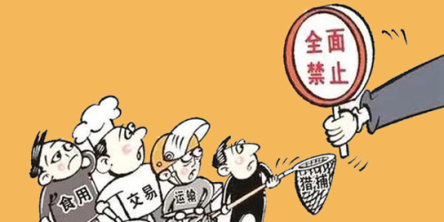 全面禁止非法野生动物交易